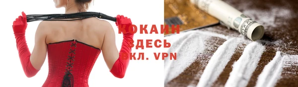 прущие грибы Покровск