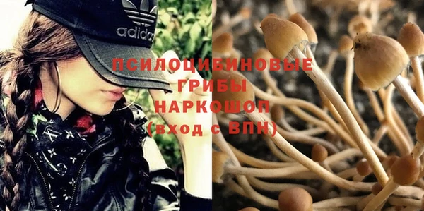 ECSTASY Алексеевка