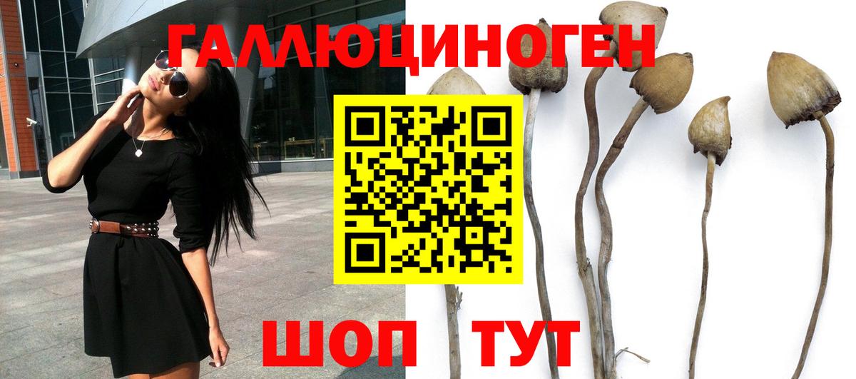 Галлюциногенные грибы мухоморы  Галлюциногенные грибы мицелий  Вход с VPN  Сосновоборск 