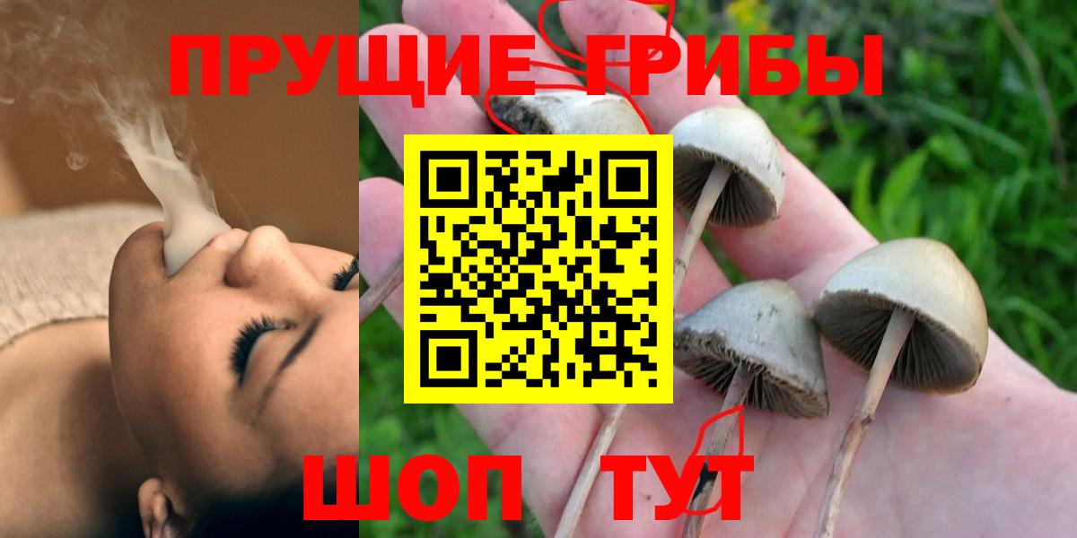 Псилоцибиновые грибы ЛСД Сосновоборск